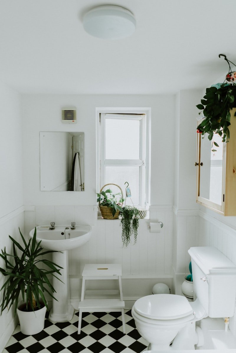 Bathroom plumbing remodel Port Charlotte